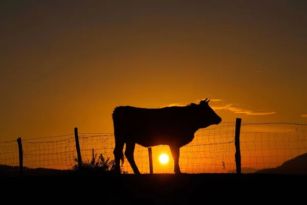 Zonsondergang Lucht — Stockfoto