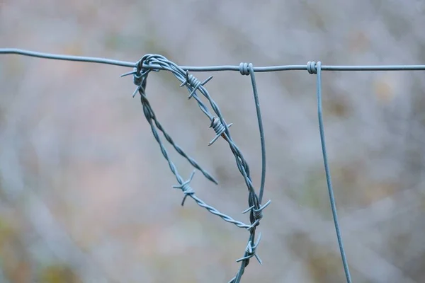 Metallic Old Broken Barbed Wire Fence Nature — Stock Photo, Image