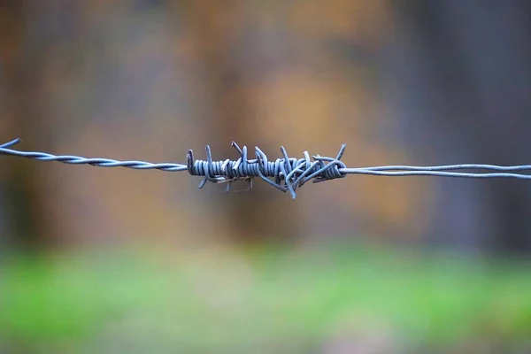 Metallic Old Broken Barbed Wire Fence Nature — Stock Photo, Image