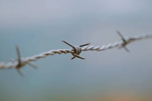 Metallic Old Broken Barbed Wire Fence Nature — Stock Photo, Image