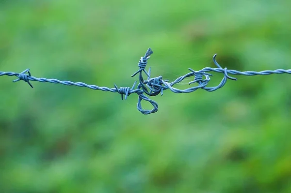 Metallic Old Broken Barbed Wire Fence Nature — Stock Photo, Image