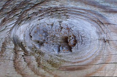 Ahşap doku desen arka plan