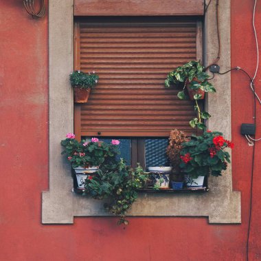 Bina içinde pencere