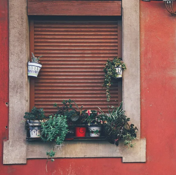 Bina içinde pencere