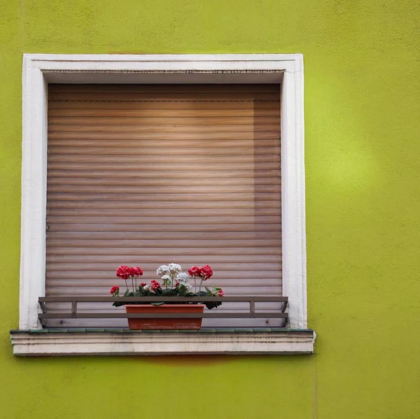 Παράθυρο Στο Πράσινο Σπίτι Στο Μπιλμπάο Ισπανία — Φωτογραφία Αρχείου