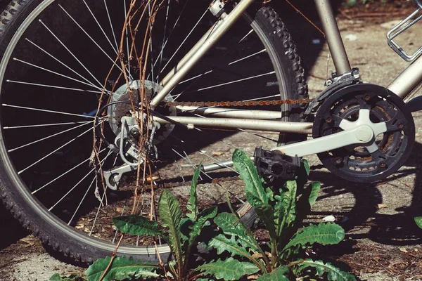 路上での自転車輸送は — ストック写真