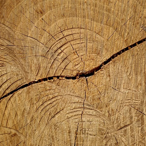 Деревянный Текстурный Фон — стоковое фото
