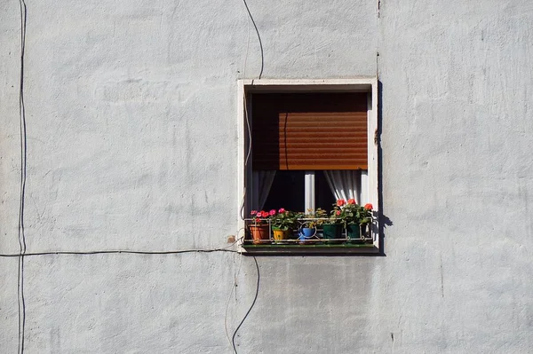 Finestra Sul Palazzo Bianco Bilbao Spagna — Foto Stock