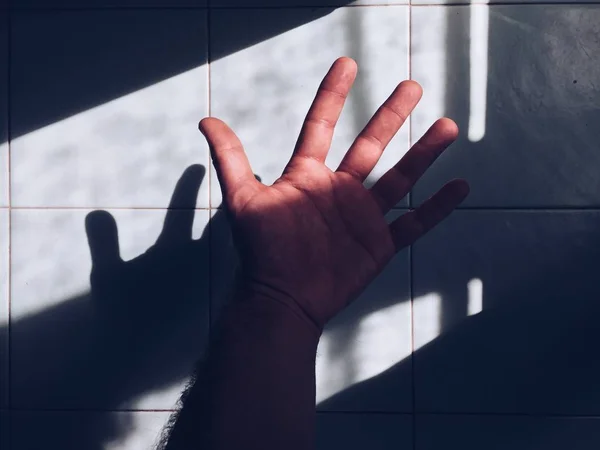 hand shadow silhouette on the wall
