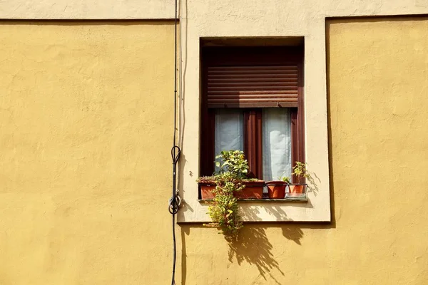 Вікно Жовтому Фасаді Будинку Більбао Іспанія — стокове фото
