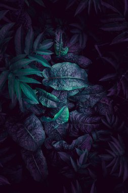 Sonbaharda dokulu mavi ve renkli bitki yaprakları.