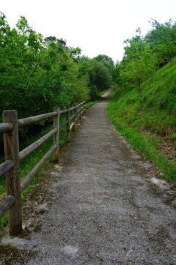 Sonbaharda dağda yeşil ağaçlarla dolu bir yol. Bilbao İspanya