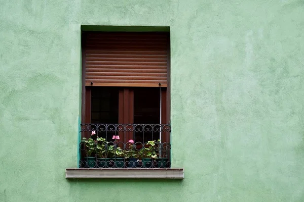 Fenêtre Sur Façade Verte Maison Bilbao Ville Espagne — Photo