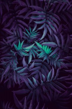                          Bahçede mavi yapraklar, sonbahar mevsimi, mavi arkaplan       