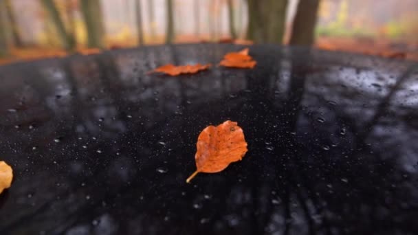 Toit de voiture noir avec feuilles tombées et gouttes d'eau sur. gros plan dolly shot in slowmotion — Video