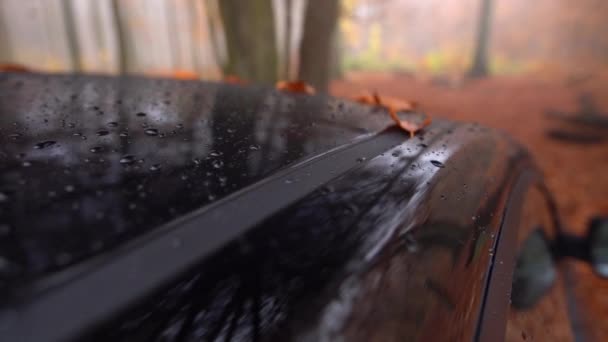 Toit de voiture noir avec feuilles tombées et gouttes d'eau sur. gros plan dolly shot côté de la voiture au ralenti — Video