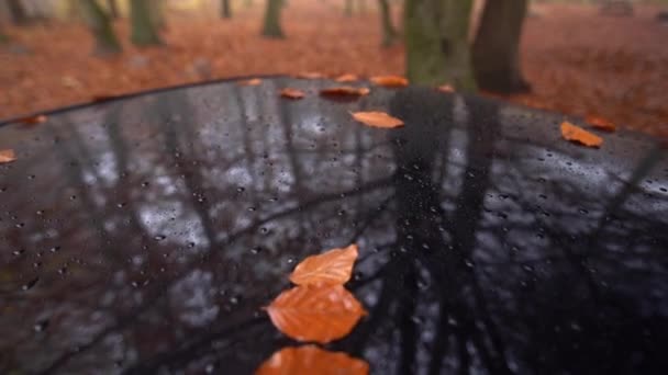 Svart biltaket med stupat leafs och vatten droppar på. närbild av dolly skott i slowmotion — Stockvideo
