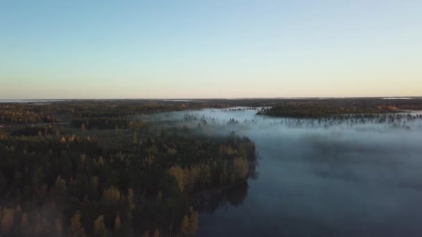 Antenn - hösten dimmiga morgning i Sverige skog. soluppgång slår träden. stor sjö i mitten. flygande över dimman. 4k — Stockvideo