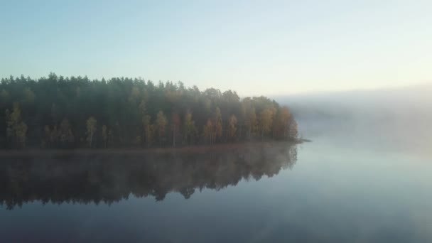 Воздушный - туманное моргание в шведском лесу. Восход солнца ударяет по деревьям. Большое озеро посередине. полет над туманом. 4k — стоковое видео
