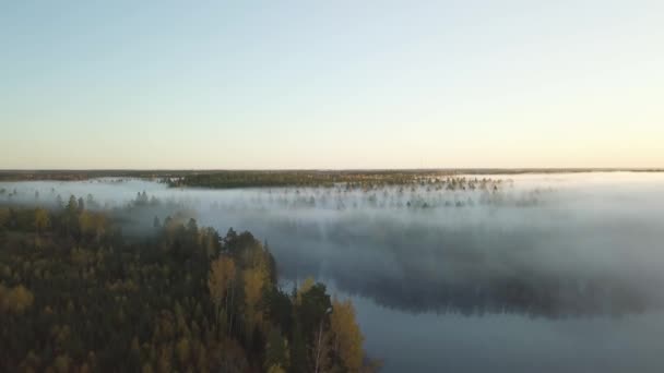 秋天雾蒙蒙的莫格在瑞典的森林 日出击中树木 在中间的大湖 飞越雾 — 图库视频影像