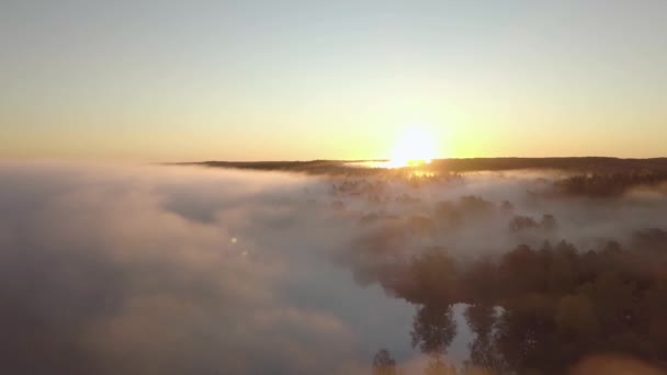 Aérea - Mañanas brumosas de otoño en el bosque sueco. amanecer golpeando los árboles. gran lago en el medio. volando por encima de la niebla. 4k — Vídeo de stock