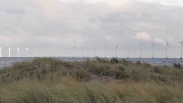 Windturbine spřádání ve vodě na pláži amager v Dánsku, s trávou v fourground — Stock video