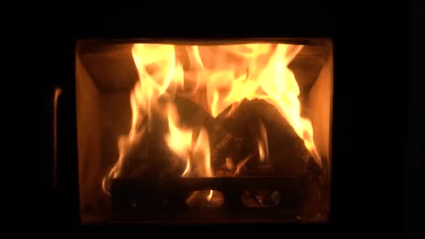 Vedspis spis. tillfredsställande brinnande eld — Stockvideo