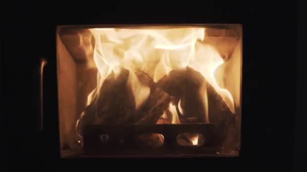 Woodstove 벽난로입니다. slowmotion 120 fps 정적 장면에서 불타는 불 만족 — 비디오