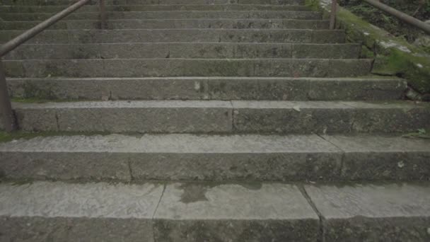Largos pasos de Myogi jinja santuario japonés, cámara lenta panorámica — Vídeo de stock