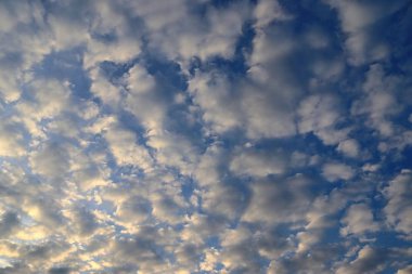 Altocumulus Bulutlar gökyüzünde