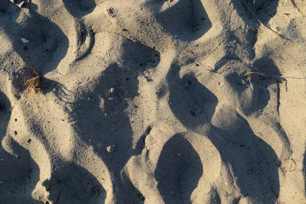 德国波罗的海的沙滩沙面附近 — 图库照片