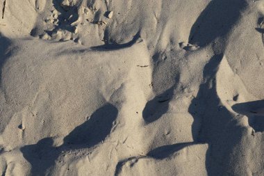 Almanya'da Baltık denizde plaj kum yüzeyi yakın çekim