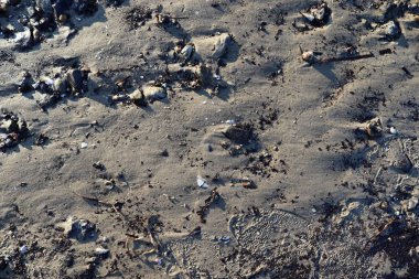 Almanya'da Baltık denizde plaj kum yüzeyi yakın çekim