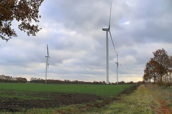 Kuzey Almanya Bir Alternatif Enerji Rüzgar Parkta Rüzgar Değirmenleri — Stok fotoğraf