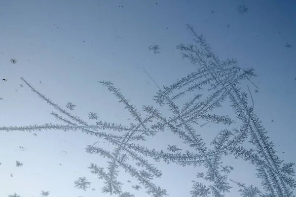 Zbliżenie Kwiatów Lód Mrożone Okno — Zdjęcie stockowe