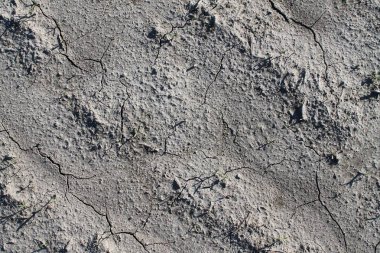 Yüksek çözünürlüklü yüzey zemin ve acre kadar kapatın