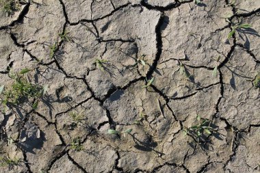 Yüksek çözünürlüklü yüzey zemin ve acre kadar kapatın