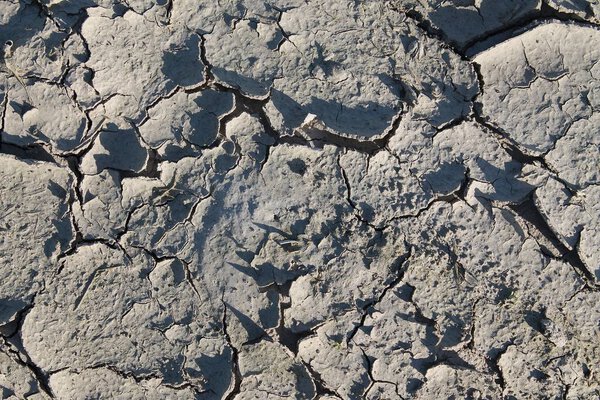 Закрыть поверхность земли и акров с высоким разрешением
