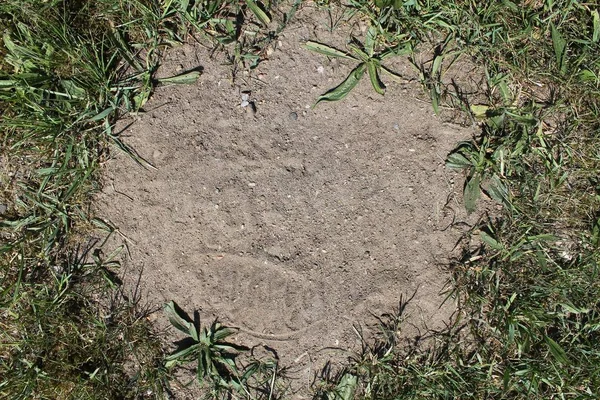 Close Van Hoge Resolutie Oppervlak Van Zand Vuil — Stockfoto