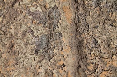 Yüksek çözünürlüklü yüzey yıpranmış boya bir duvar kadar kapatın