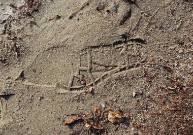 Yüksek çözünürlüklü yüzey kum yere kadar kapatın