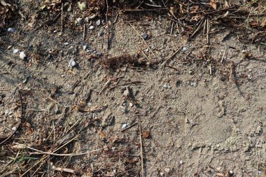 Yüksek çözünürlüklü yüzey kum yere kadar kapatın