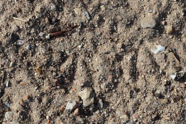 Yüksek çözünürlüklü yüzey kum yere kadar kapatın