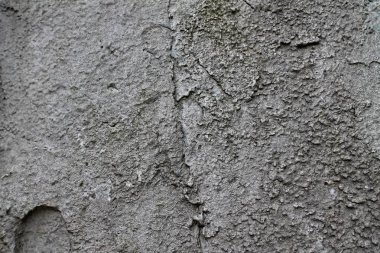 Eski ve yıpranmış çimento duvarlarında çatlaklar yakın çekim