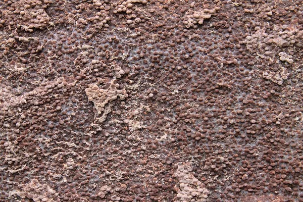 Close Surface Weathered Conrete Walls High Resolution — Stock Photo, Image