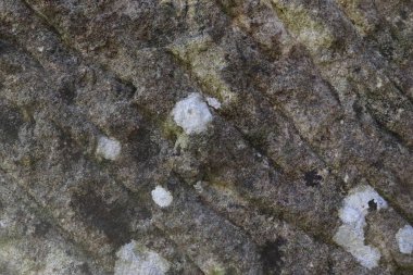 Granit ve taş duvarlar yüksek çözünürlüklü yüzey kapatmak