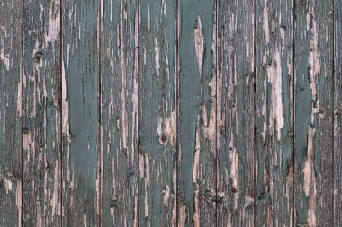 Ahşap yüzey yıpranmış duvar ve yüksek çözünürlüklü ağaçlarda yakından