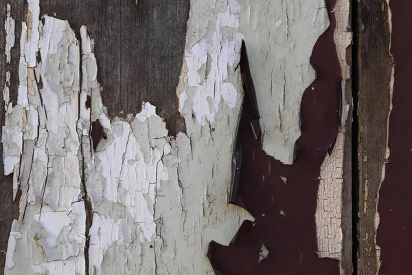 Ahşap Yüzey Yıpranmış Duvar Yüksek Çözünürlüklü Ağaçlarda Yakından — Stok fotoğraf