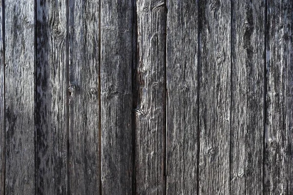 Wooden Close Surface Weathered Walls Trees High Resolution — Stock Photo, Image