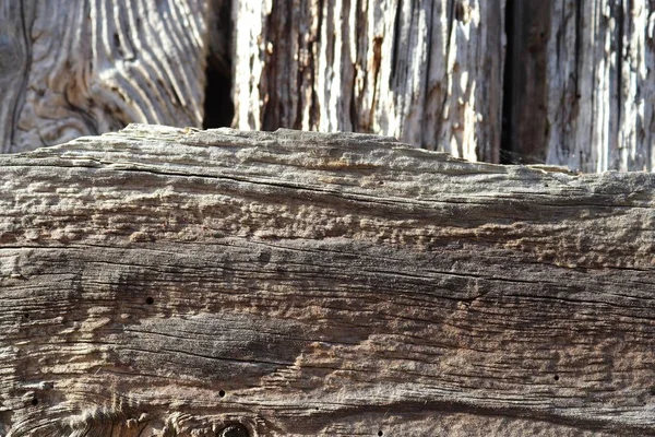 Wooden close up surface of weathered walls and trees in high resolution